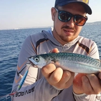 Savage Gear 3D Jig Minnows